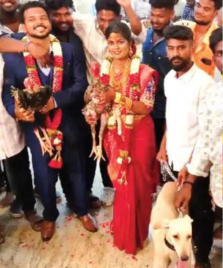 The bride and the groom are stunned
