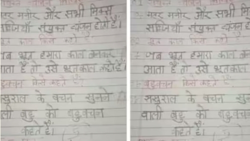 Teacher gives 5 marks to child's intellect