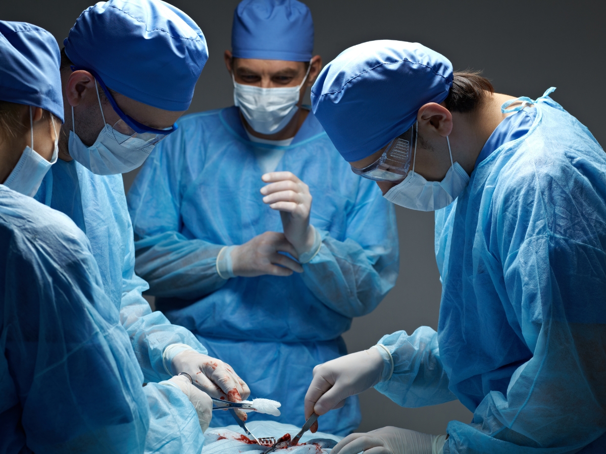 Lisa, who implanted a pig's kidney and an artificial heart pump, succumbs to her injuries