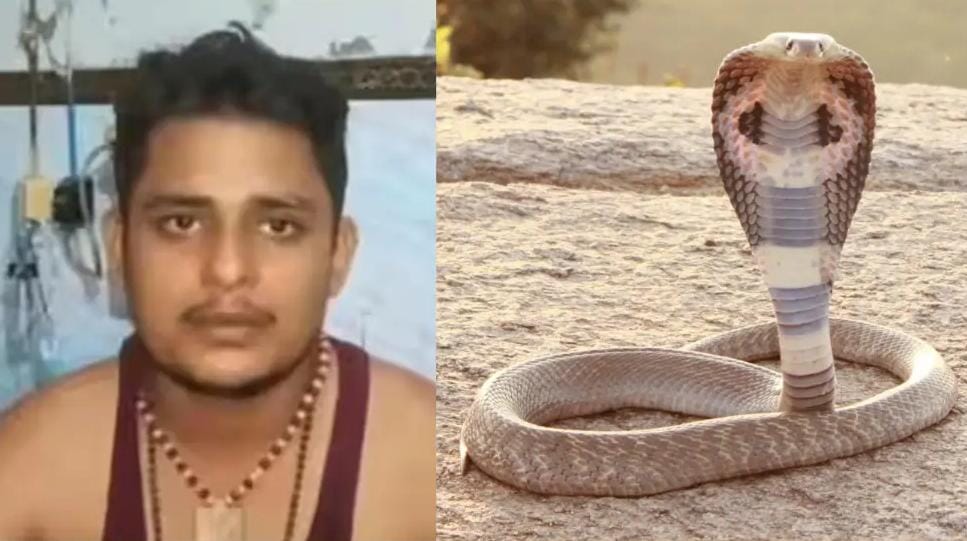 The snake bites regularly on Saturdays and each time the young man escapes