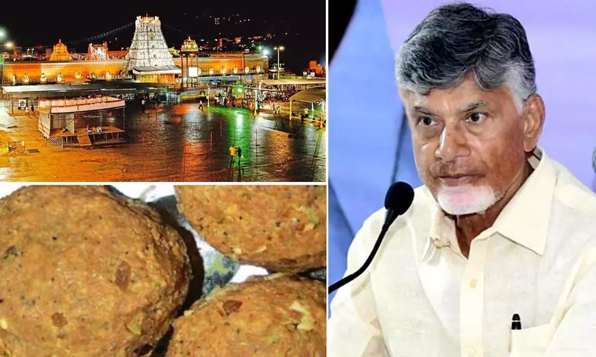 Tirupati Ladu Controversy; Why the public statement without clear evidence, Supreme Court criticized the government