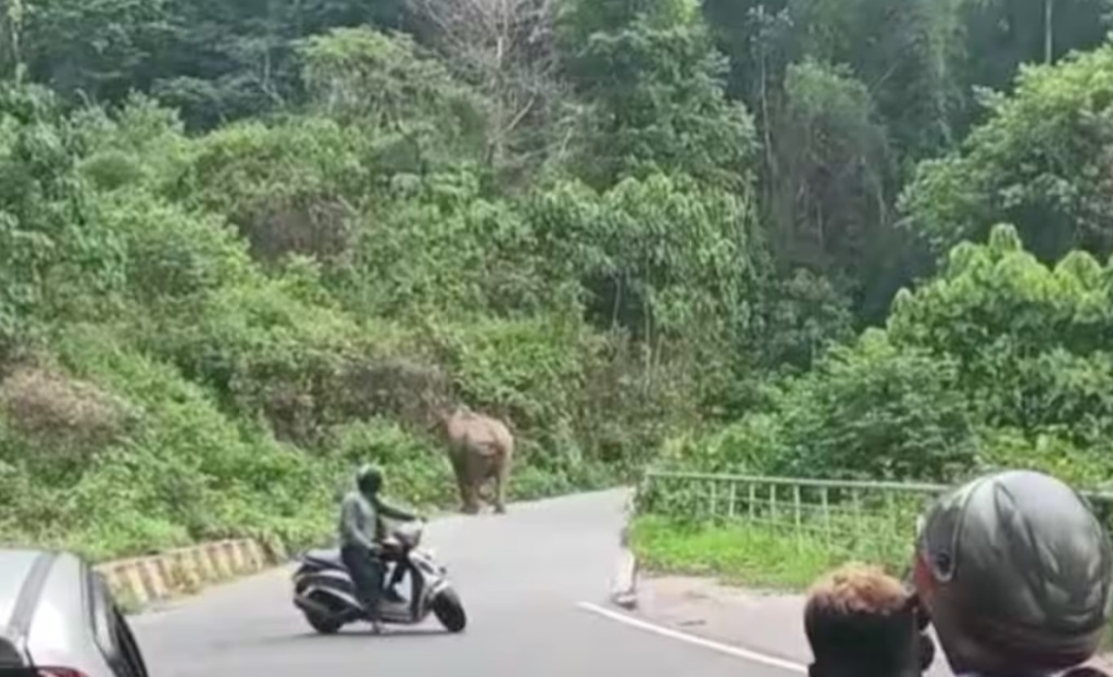 Answer given by the forest department officials