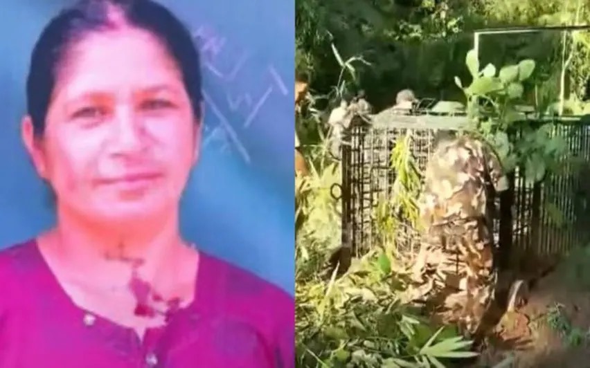 Search for tiger in Pancharakoli intensified