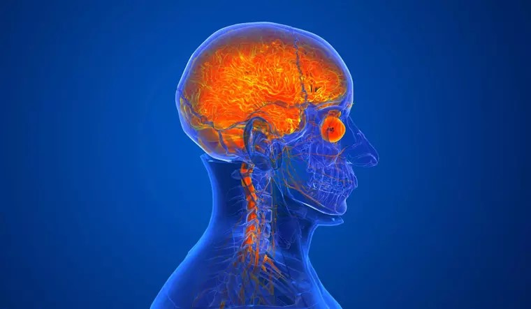 Amebic encephalitis; Two people in critical condition