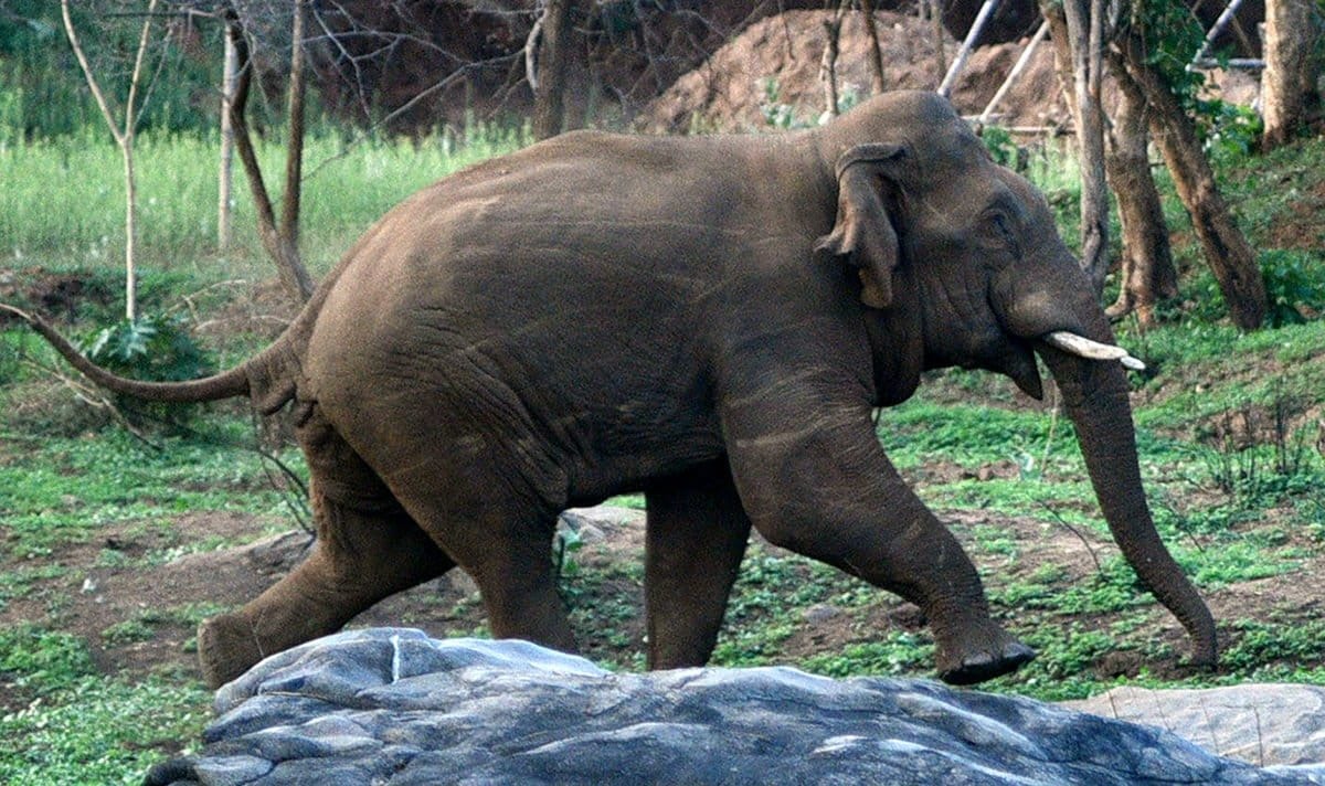 WhatsApp Image 2025-12-06 at 15.45.08_695fe8b4