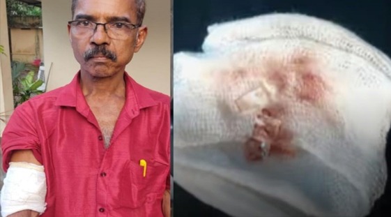 WhatsApp Image 2026-02-20 at 12.28.36 PM